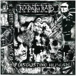 Napalm Raid : 2010-2015